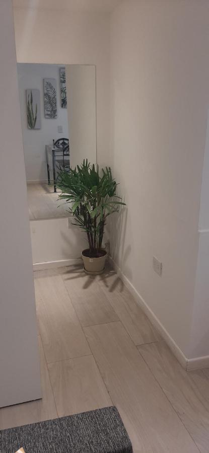 Coqueto Loft Palermo Hollywood Apartman Buenos Aires Kültér fotó
